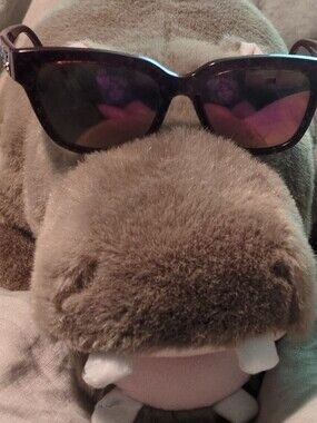 Coach Rose Colored Oversized Sunglasses